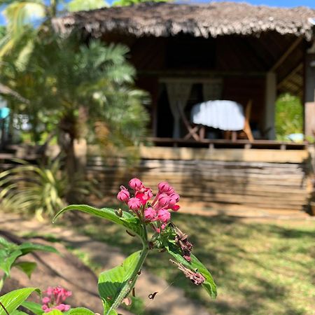 Les Jardins D'Ankify Bed & Breakfast Andimaka ภายนอก รูปภาพ