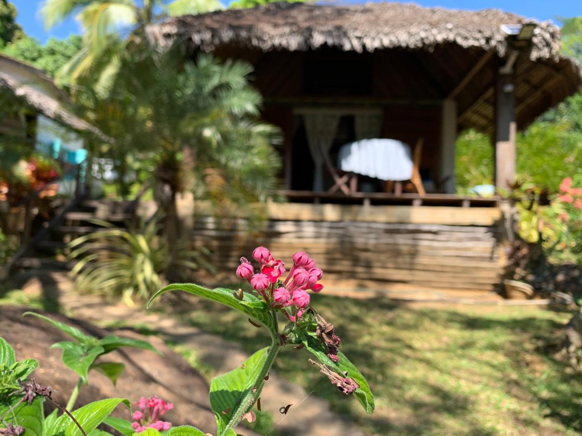 Les Jardins D'Ankify Bed & Breakfast Andimaka ภายนอก รูปภาพ