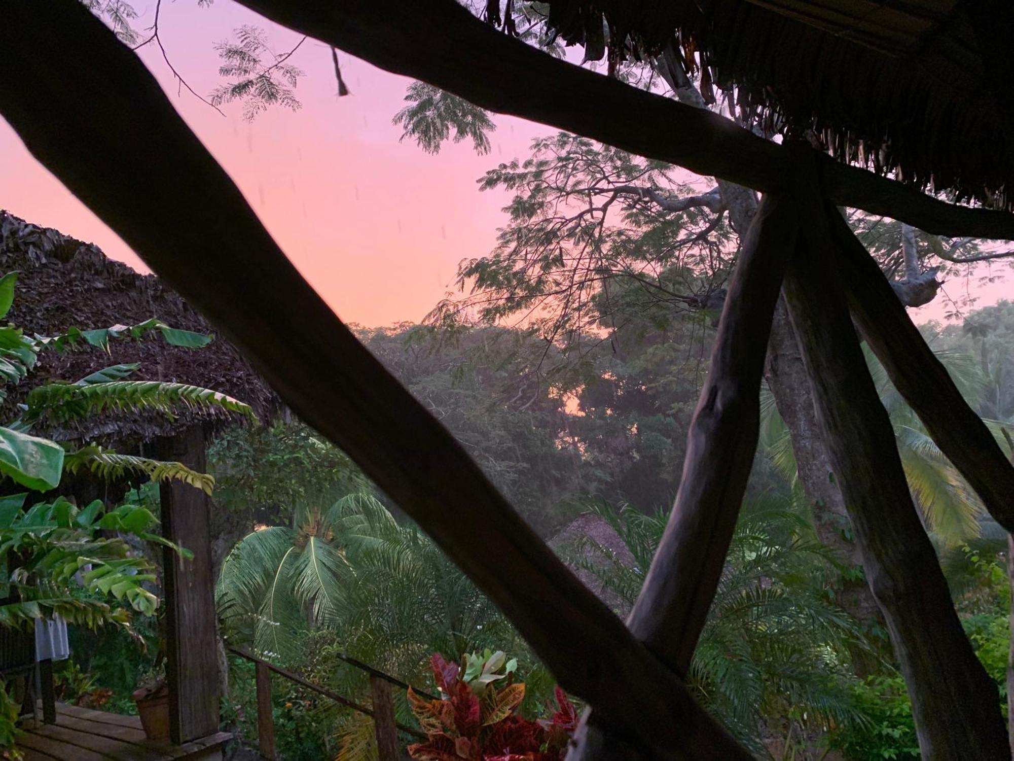 Les Jardins D'Ankify Bed & Breakfast Andimaka ภายนอก รูปภาพ
