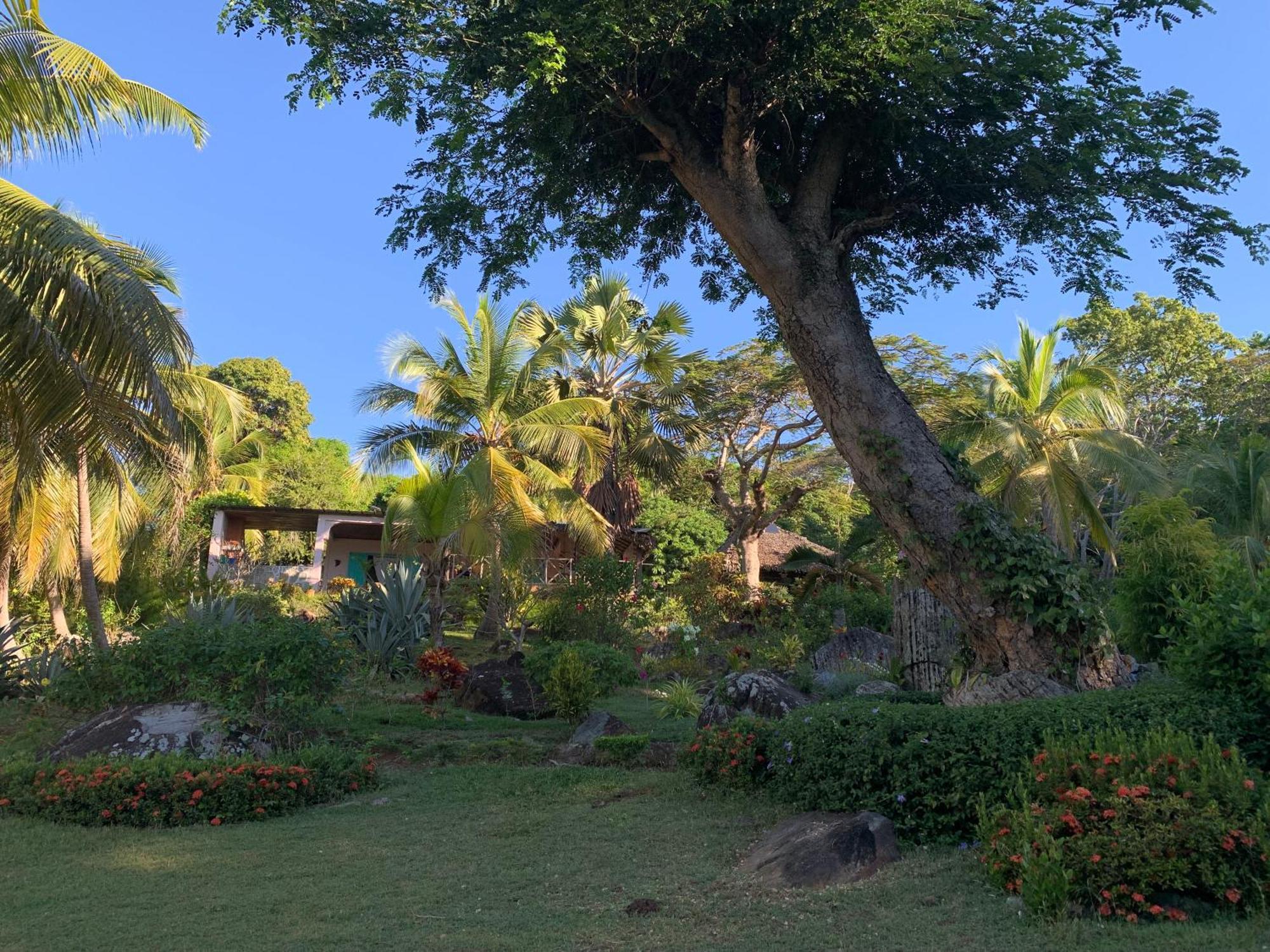 Les Jardins D'Ankify Bed & Breakfast Andimaka ภายนอก รูปภาพ