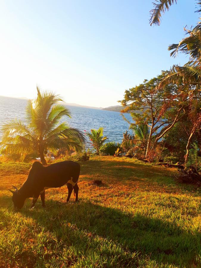 Les Jardins D'Ankify Bed & Breakfast Andimaka ภายนอก รูปภาพ
