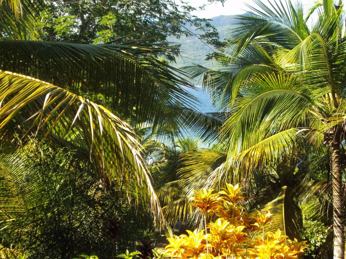 Les Jardins D'Ankify Bed & Breakfast Andimaka ภายนอก รูปภาพ